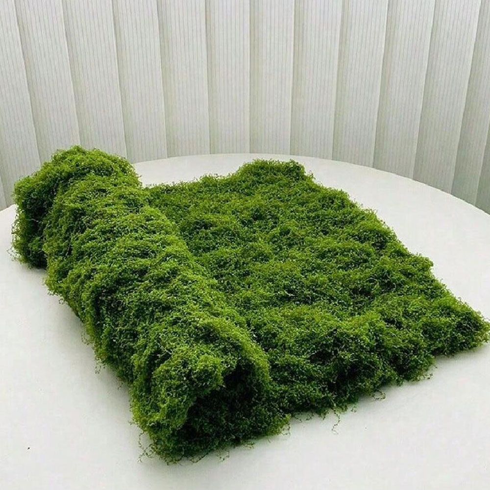 Sphagnum Moss Dry - 1*1 m Sahte Yosun DIY El