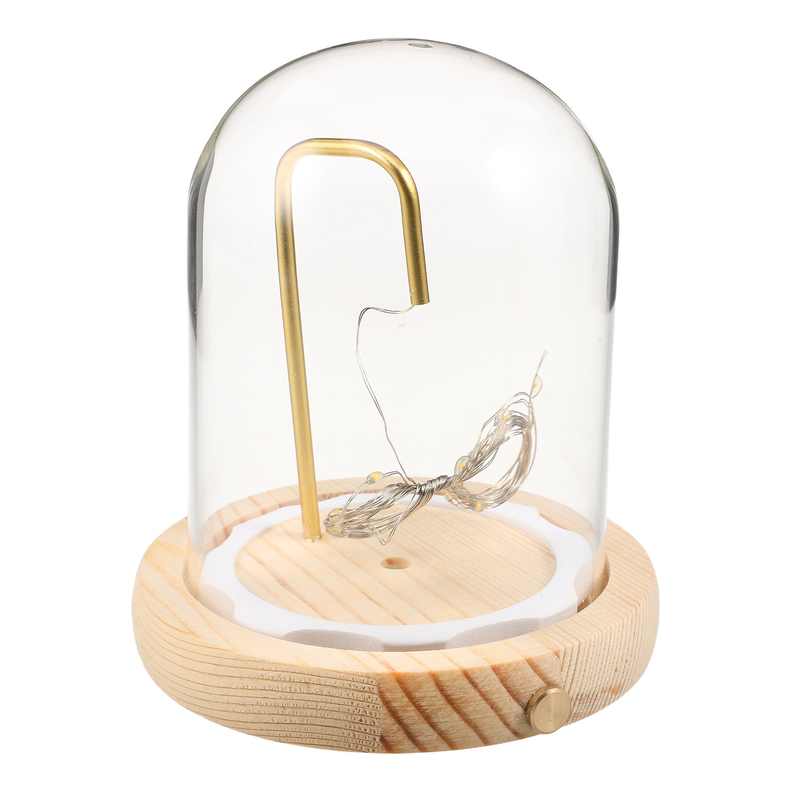 Ahşap Tabanlı Cam Kubbe Vitrin - Plastic Dome Clear incelemesi ve fiyatı