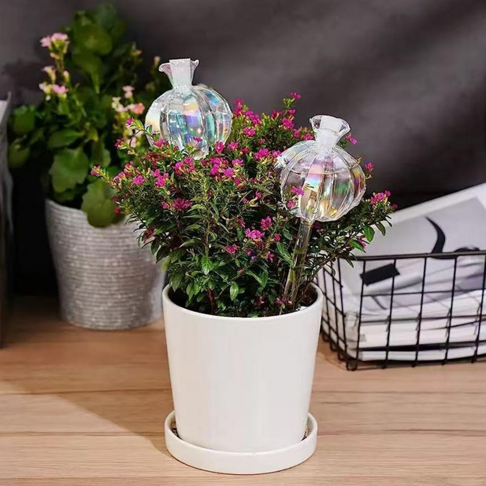 24 cm Kaktüs Kendinden Sulama  - Self Watering Insert incelemesi ve fiyatı