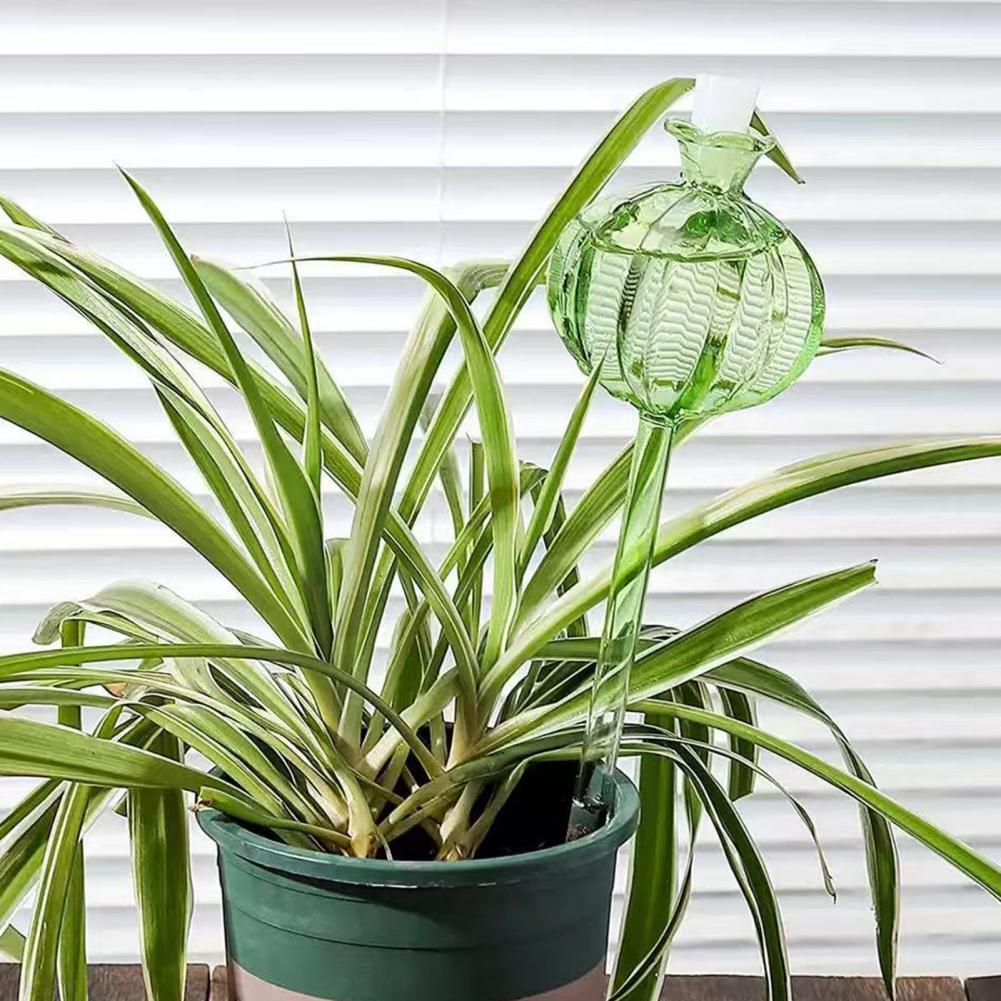 24 cm Kaktüs Kendinden Sulama  - Self Watering Insert incelemesi ve fiyatı