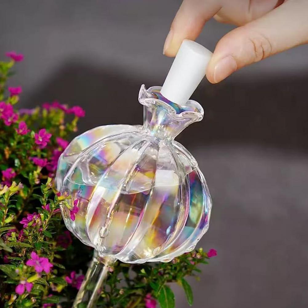 24 cm Kaktüs Kendinden Sulama  - Self Watering Insert incelemesi ve fiyatı