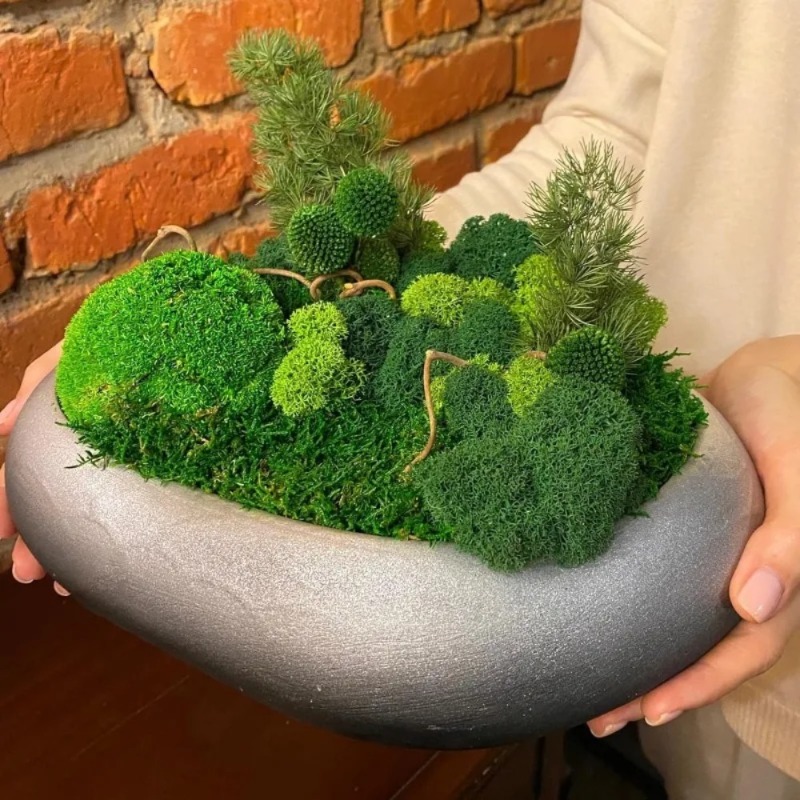 Yapay Yeşil Yosun Sahte Yosun  - Sphagnum Moss Dry incelemesi ve fiyatı