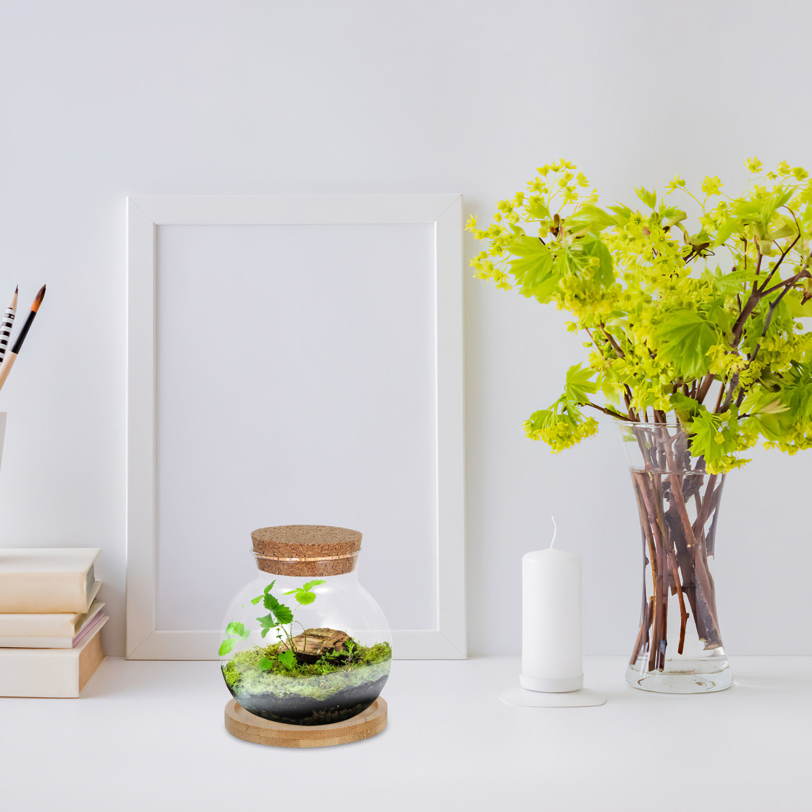 2'li Set Hidroponik Cam Zarif  - Propagation Station Vase incelemesi ve fiyatı