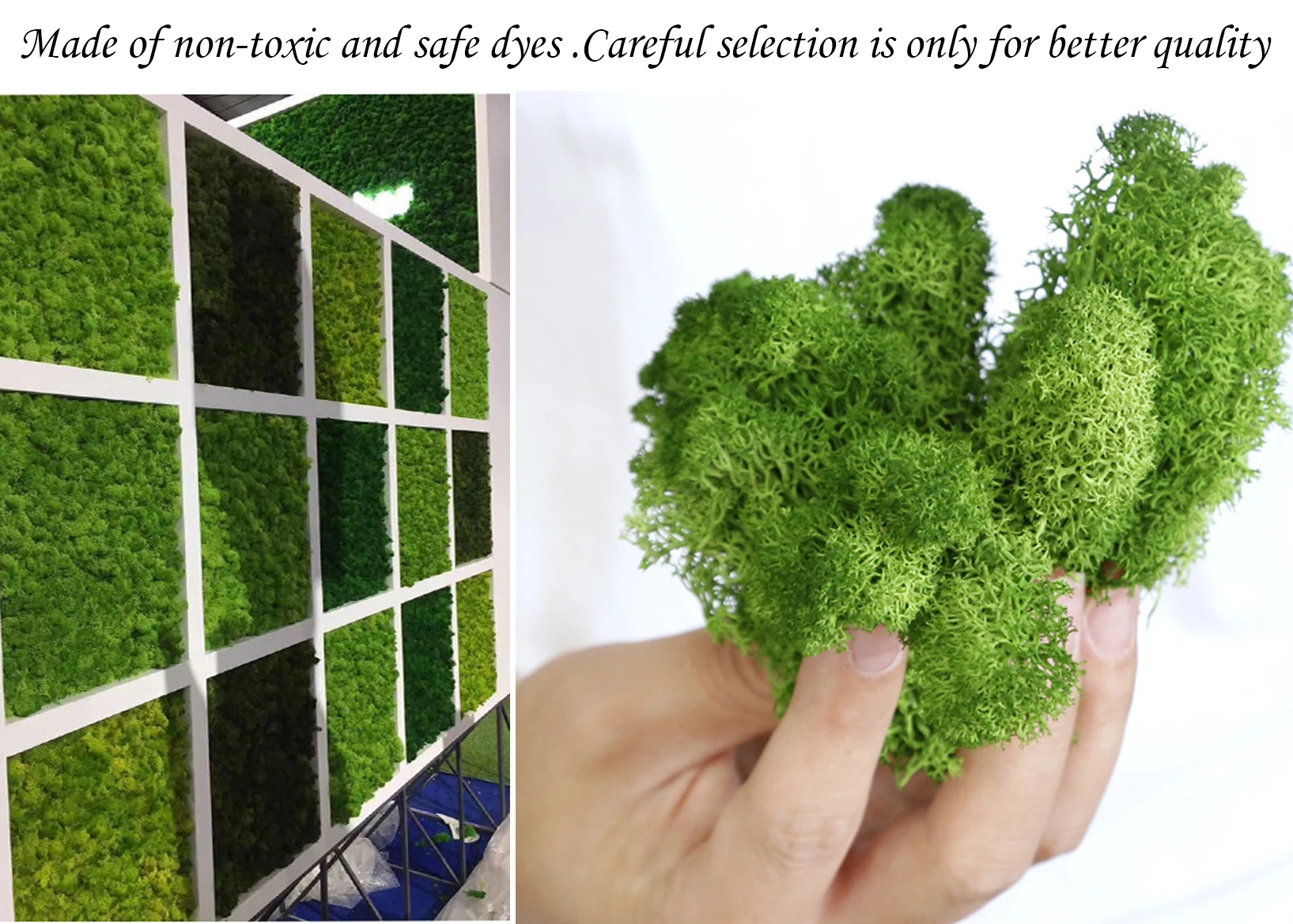 Yapay yosun saksı bitkileri iç - Sphagnum Moss Dry incelemesi ve fiyatı